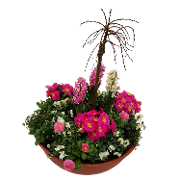 Grabschale: Rosa Erinnerung unter dem Weidenbaum