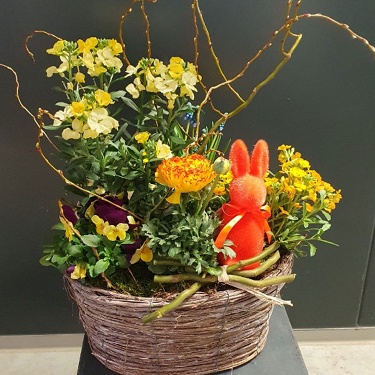 (Beispielfoto - große Größe)