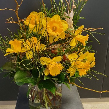 (Beispielfoto - mittlere Größe)