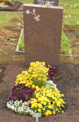 Qualitätsbepflanzung - Variante B