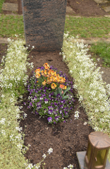 Qualitätsbepflanzung - Variante C