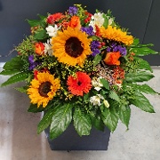 Sonnenblumen mit bunten Begleitern