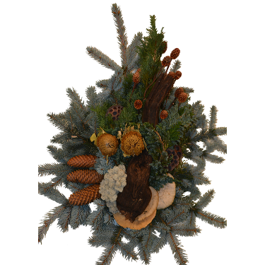 (Beispielfoto - große Größe)