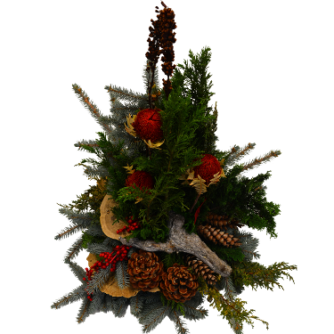 (Beispielfoto - große Größe)