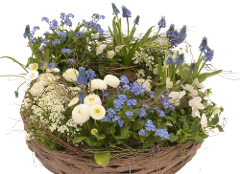 Trauerschale: Frühjahr