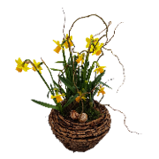 Trauerschale: Erste Frühjahrsgrüße