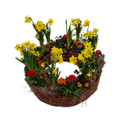 Trauerschale: Frühlingserinnerung