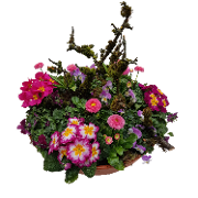 Grabschale: Gruß in Rosa