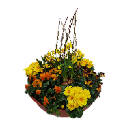 Trauerschale: Palmkätzchen und Frühjahr