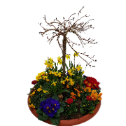 Trauerschale: Unterm Weidenbäumchen