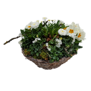 Trauerschale: Weiße Anteilnahme