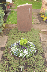 Grundbepflanzung - Variante C