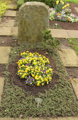 Grundbepflanzung - Variante B